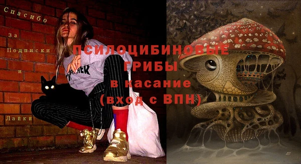 круглые Алексеевка
