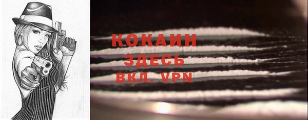 прущие крисы Абаза